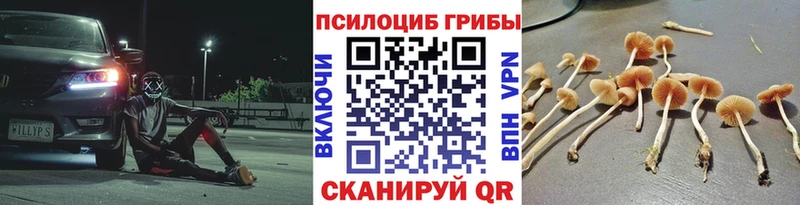 Галлюциногенные грибы мицелий  где купить наркотик  Каменка 